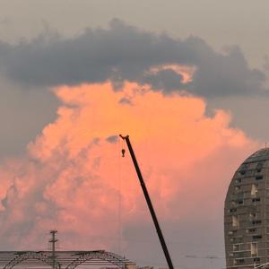 小先森旅行 头像