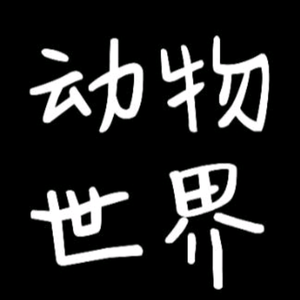小虾米，(橱窗有物)头像