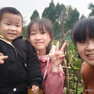 山东嫁四川（时维莉）头像