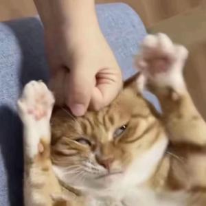 罗源城头像