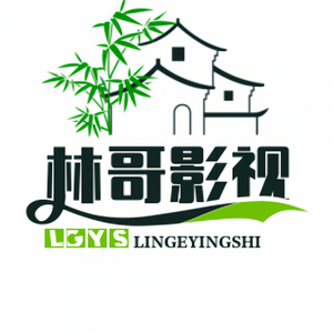 林哥影视头像