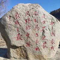 丰富湖泊9T1头像