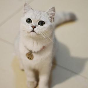 星瑞辰LT头像