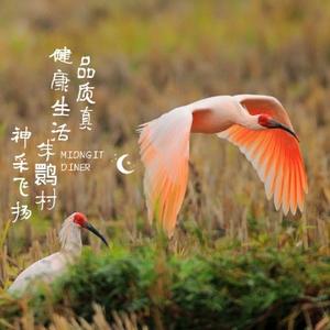 朱鹮村的菌菇头像