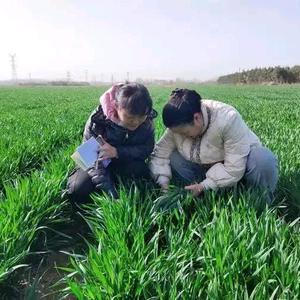 萌新农业科普知识头像