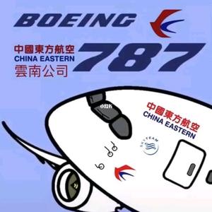 东航787头像