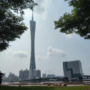 东哥的星辰大海头像