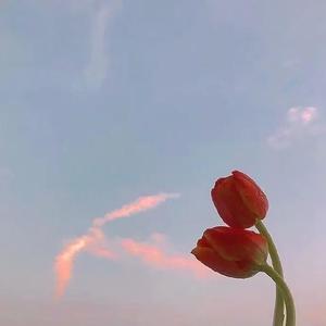 幸福要来了头像