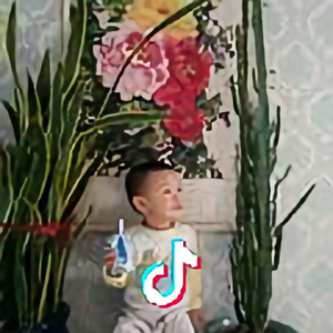 丽丽头像