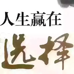 纵横历史头像