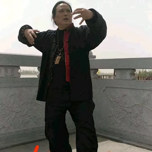 马冬生大成拳头像