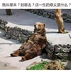 啼之名头像