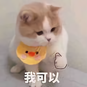 别人家的小猫咪头像