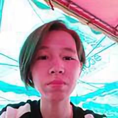 燕子娱乐合集头像