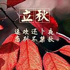 风光无限685头像