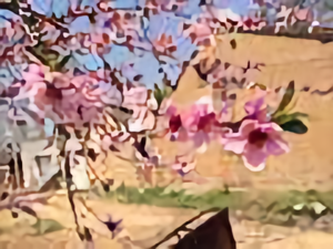 舞月60头像