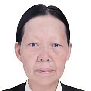 芳芳老农头像