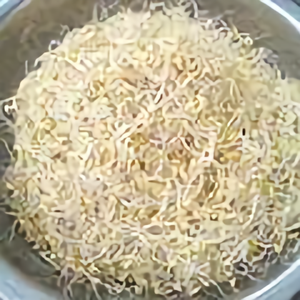 聊城孟庄无药带根豆芽头像