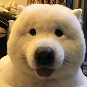 十八岁2046头像