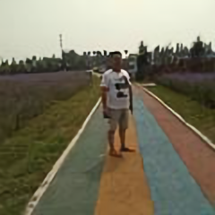倒骑毛驴上高速2头像