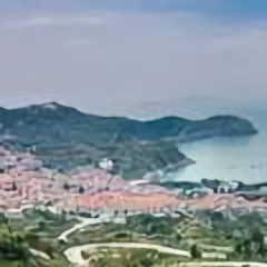 崂山智峰头像