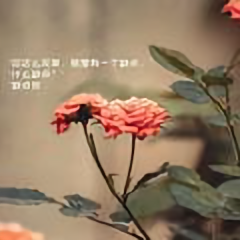 中国制造804头像