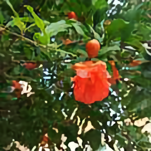 生活就是禅头像