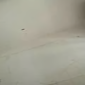 智者大愚头像