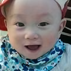 恐龙岛转播头像