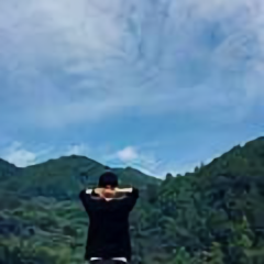 菊园里的郁金香头像