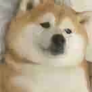 小糖syoto头像