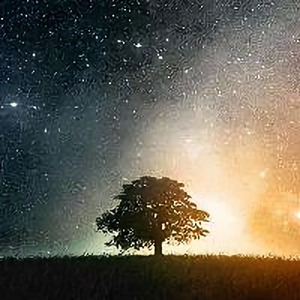 星空中的一缕光头像