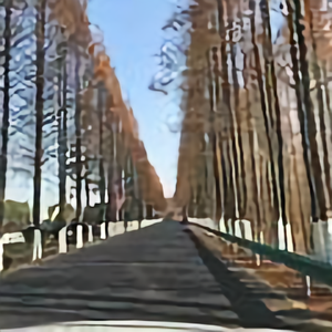 茉莉胖丽丽头像
