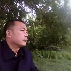 夏虫不知有冰头像