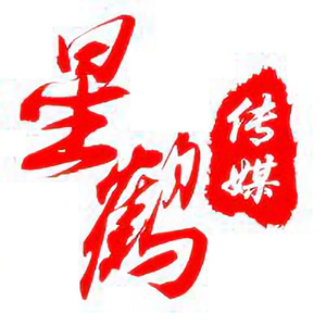 星鹤传媒头像