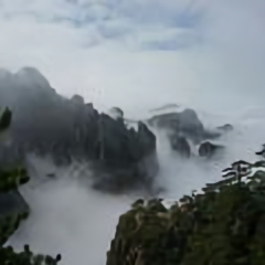 神仙81378677头像