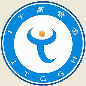 IT高管会头像