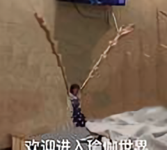 小匀渔罐头头像
