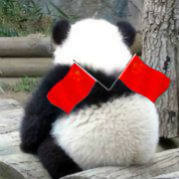 天才小熊猫头像