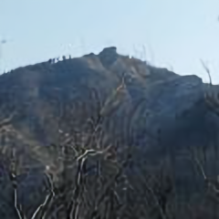 生活需要喷香啊头像