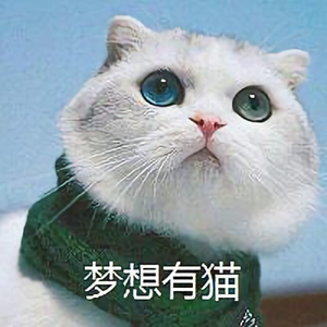 恬静没有猫头像