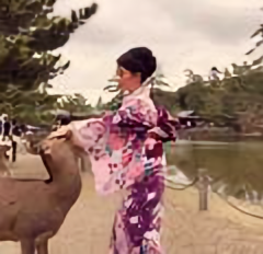 YOYO在日本头像