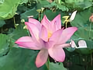 太平网福哥头像
