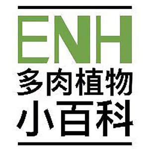 ENH多肉植物小百科头像