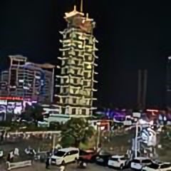 飞扬的青春888头像