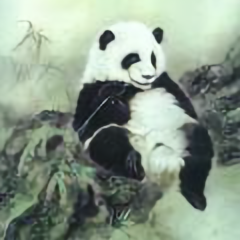 熊猫家傲头像