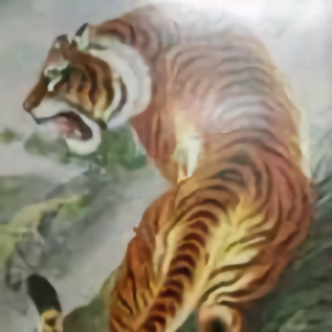 镇江东北虎头像