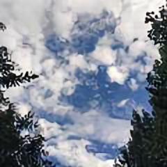 Memory青春岁月头像