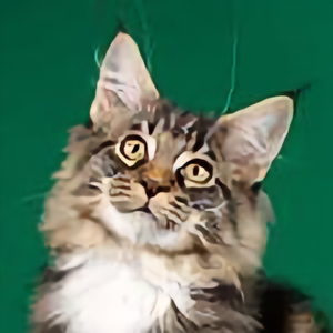 神龙特攻队 西瓜视频