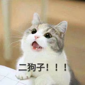 蜗牛头像